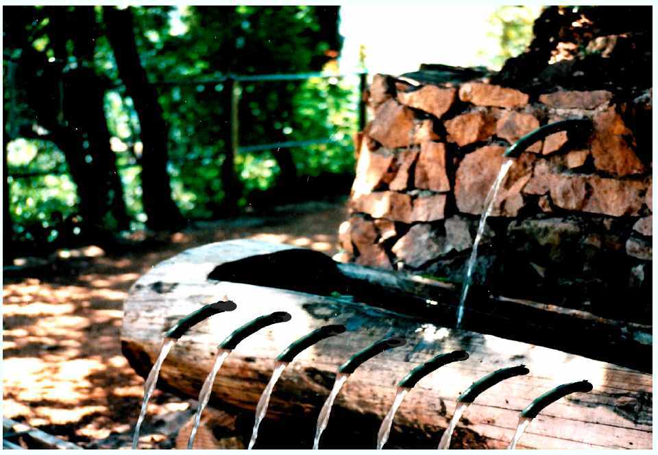 Quelle: Buch, Mein Weg zur heiligen Kommunion